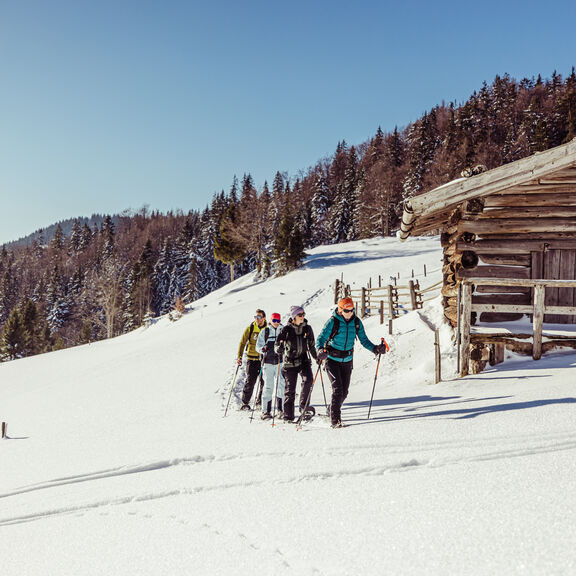Schneeschuh_Brandenberg_Winter_2023_Alpbachtal_Tourismu_Fotot_shootandstyle__20_.jpg  