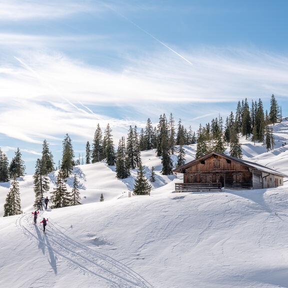 Wintereinbruch_Brandenberg_2021_Alpbachtal_Tourismus_Foto_Muehlbacher__6_.jpg  