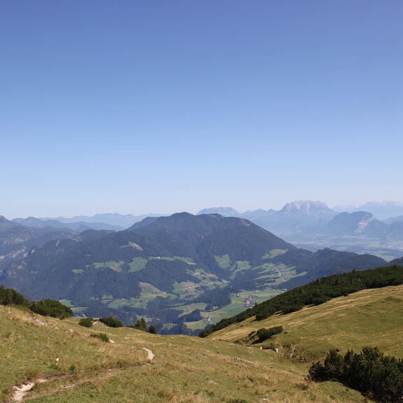 IMG_6569.JPG  